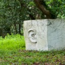 stone ear source image